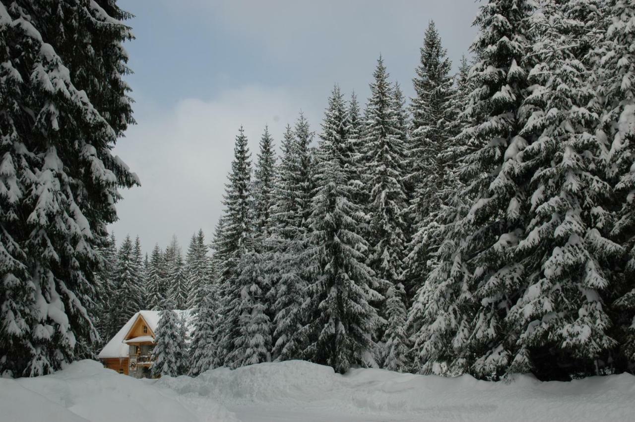 Penzion Sindlovec Oravice Exterior photo